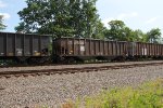 NS 10142
